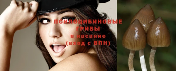 амф Баксан