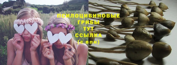 амф Баксан