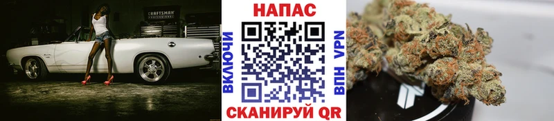 Марихуана ГИДРОПОН  купить наркоту  Ковылкино 